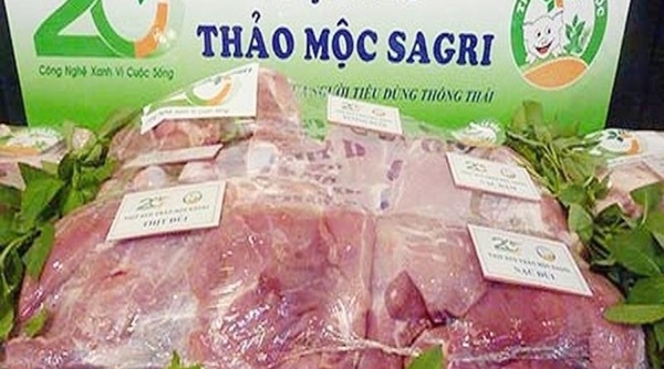 Sagrifood sẽ cung cấp hơn 50 tấn thịt heo Thảo Mộc Sagri phục vụ Tết Kỷ Hợi 2019