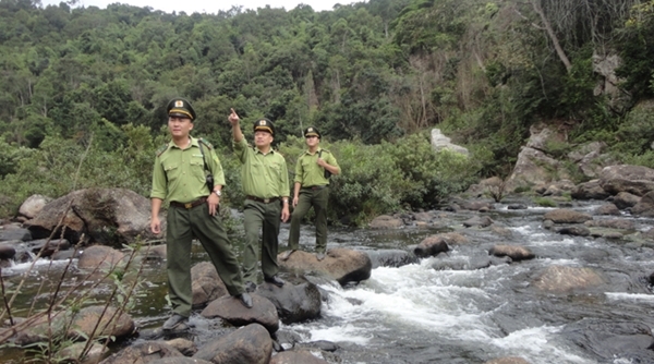 Bắc Giang: Xử phạt 116 vụ vi phạm về quản lý rừng trong năm 2018