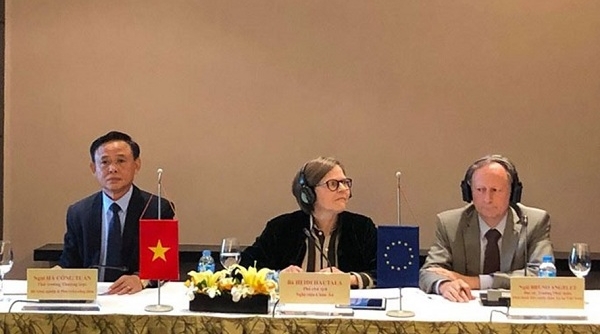 Việt Nam và EU bắt tay hợp tác kiểm soát nguồn gốc gỗ nguyên liệu