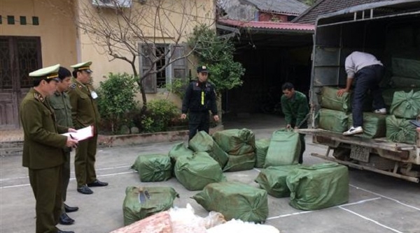 QLTT Lạng Sơn: Tiêu hủy 2,3 tấn nầm lợn nhập lậu từ Trung Quốc