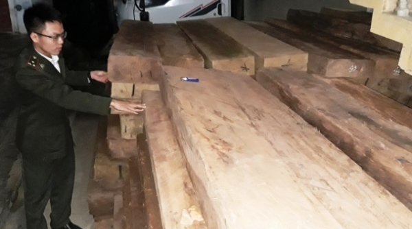Quảng Bình: Liên tiếp bắt 2 vụ vận chuyển gỗ lậu với số lượng lớn