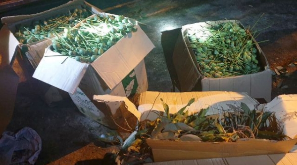 Hà Tĩnh: Phát hiện 64 kg quả thuốc phiện trên xe khách