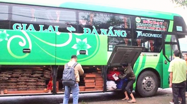 Quảng Nam: Bắt 2 xe khách nhà xe Đức Đạt chở 10 m3 gỗ lậu