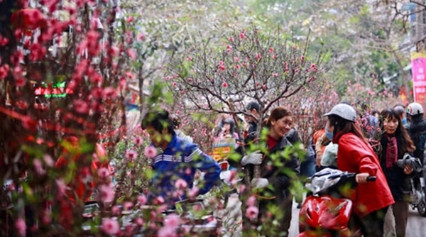 Hà Nội: Tổ chức 64 điểm chợ Hoa Xuân phục vụ Tết Nguyên đán Kỷ Hợi năm 2019