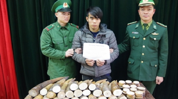 Biên phòng Cao Bằng: Bắt quả tang đối tượng vận chuyển 51 kg ngà voi