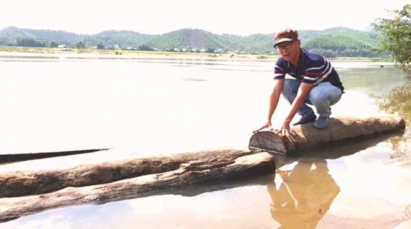 Quảng Nam: Phát hiện vụ vận chuyển gỗ lậu trên sông Vu Gia