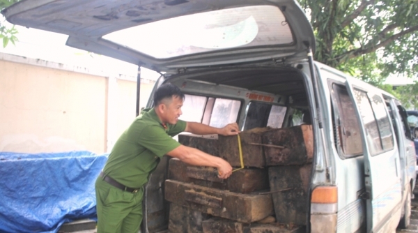 Quảng Nam: Xe ô tô gắn biển số giả, chở gỗ lậu