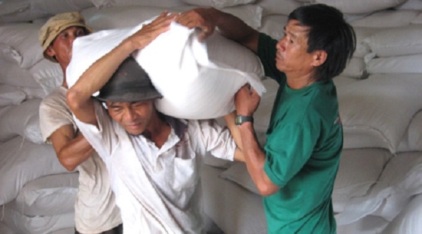 Xuất gạo dự trữ quốc gia cho tỉnh Gia Lai