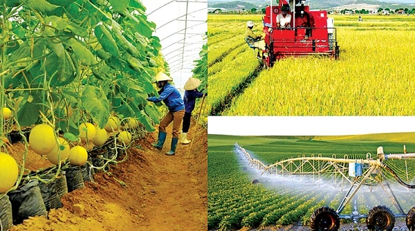 Cơ cấu lại ngành nông nghiệp: Gắn với đổi mới mô hình tăng trưởng
