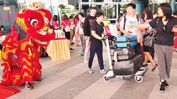 Đà Nẵng: Hơn 300.000 lượt khách du lịch đến trong dịp Tết Kỷ Hợi