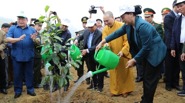 Chủ tịch Quốc hội Nguyễn Thị Kim Ngân phát động Tết trồng cây tại Hòa Bình