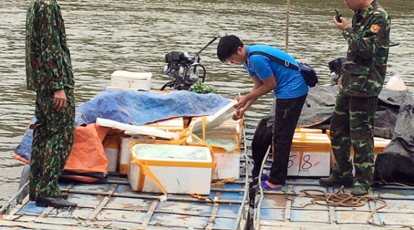 Quảng Ninh: Bắt giữ và tiêu hủy hơn 1 tấn cá đông lạnh không rõ nguồn gốc