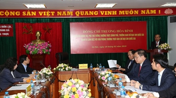 Phó thủ tướng Trương Hòa Bình chỉ đạo kế hoạch chống buôn lậu, gian lận thương mại năm 2019