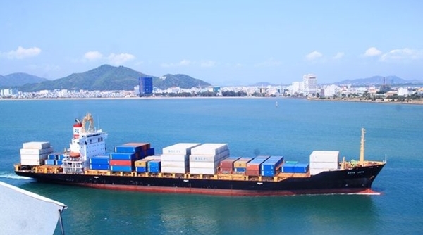 Bộ GTVT hủy bỏ 2 văn bản chỉ đạo bán cảng Quy Nhơn cho tư nhân