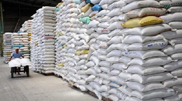 Sắp công bố giá và đấu thầu thu mua lúa gạo dự trữ