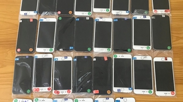 Hải quan Quảng Ninh: Tạm giữ 30 chiếc điện thoại iPhone 6 không giấy tờ