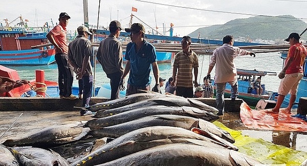Giá trị xuất khẩu cá ngừ của Việt Nam sang Mỹ tăng trở lại