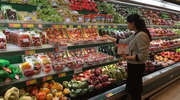 Hà Nội: Tiếp tục triển khai Đề án quản lý các cửa hàng kinh doanh trái cây năm 2019