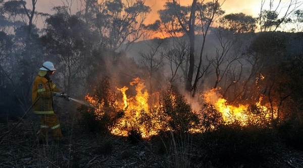 Australia: Cháy lớn do nắng nóng kỷ lục