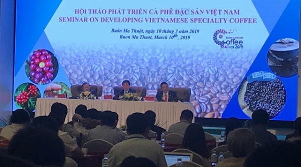 Hội thảo phát triển cà phê đặc sản Việt Nam – Tìm giải pháp để nâng cao chất lượng