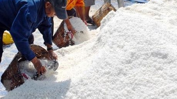 Năm 2019, hạn ngạch thuế quan nhập khẩu muối là 110.000 tấn