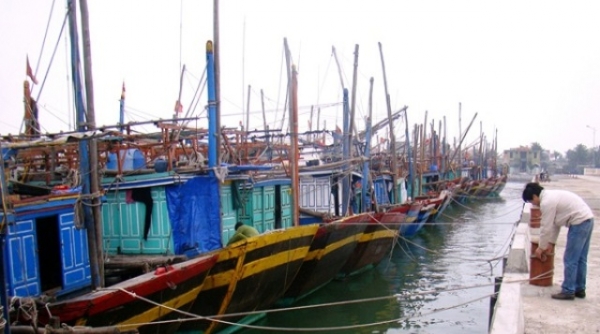 Quảng Bình: Sắp có khu neo đậu tránh trú bão cho tàu cá