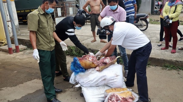 Lâm Đồng: Tiêu hủy 272 kg thịt lợn xuất hiện nấm mốc xanh, không rõ nguồn gốc