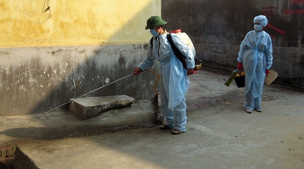 Bắc Ninh: Phun hơn 15.000 lít hóa chất phòng, chống dịch bệnh tả lợn châu Phi