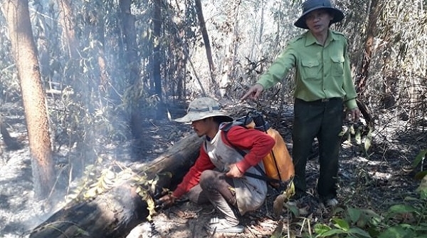 Đăk Đoa (Gia Lai): Huy động hàng trăm người chữa cháy rừng