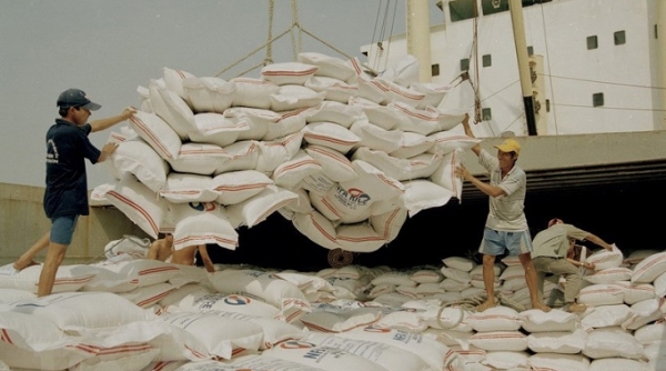 Đầu năm 2019: Xuất khẩu gạo liên tục sụt giảm