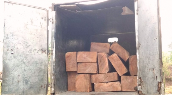 Kon Tum: Phát hiện 2 xe vận chuyển gỗ trái phép