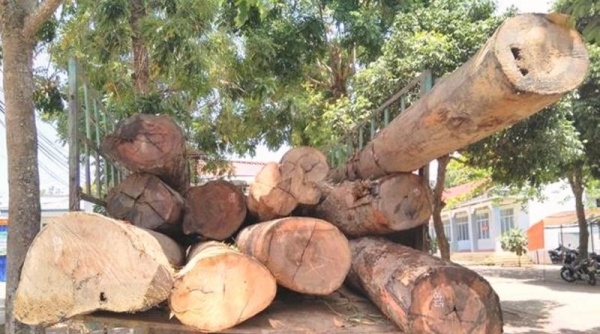 Kon Tum: Bắt giữ vụ vận chuyển hơn 11 m3 gỗ không rõ nguồn gốc