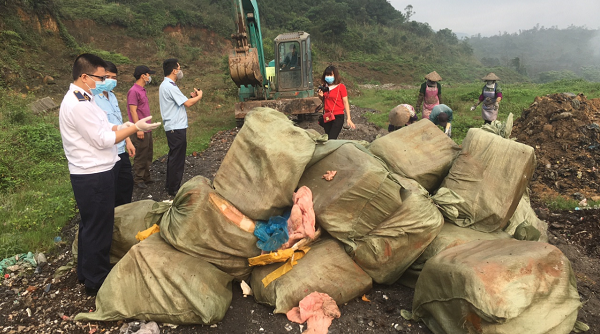 Quảng Ninh: Tiêu hủy 1.620 kg nầm lợn đông lạnh