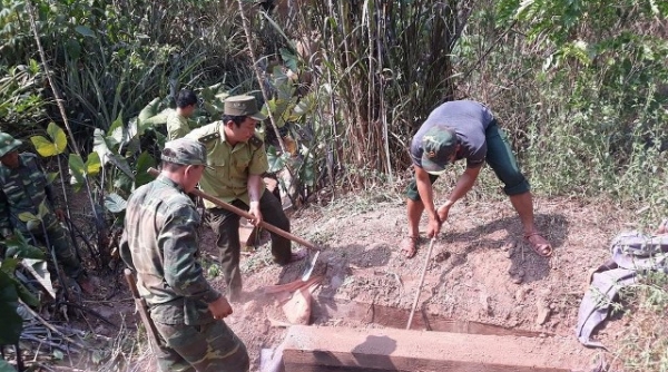Quảng Bình: Phát hiện 3 hầm gỗ mun trong vườn nhà một hộ gia đình