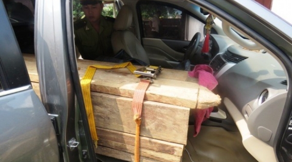 Quảng Bình: Bắt giữ đối tượng cải hoán ô tô, gắn biển số giả vận chuyển gỗ lậu