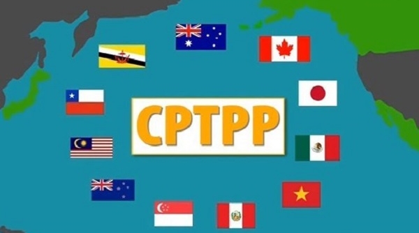Hỗ trợ doanh nghiệp tận dụng các cơ hội mang lại từ CPTPP