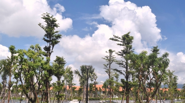 Đà Nẵng: Đầu tư 14 tỷ đồng mở đường xuống biển giữa Furama Resort và khu Ariyana