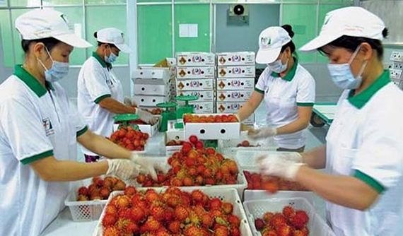 Từ ngày 1/5: Trung Quốc "siết" chặt quy định nhập khẩu rau quả