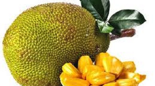 Truy xuất nguồn gốc trái cây Việt Nam xuất khẩu vào thị trường Trung Quốc