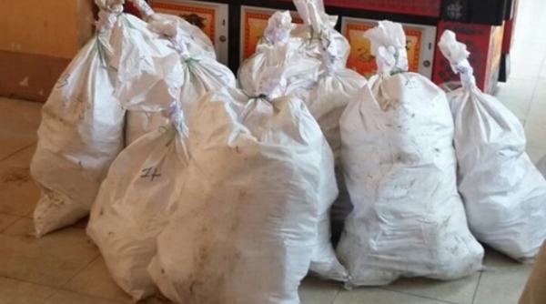 Nghệ An: Bắt 3 đối tượng, thu 700 kg ma túy đá bỏ bên QL48B