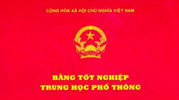 Quảng Bình: Bị phát hiện dùng giấy tờ giả, 2 cán bộ lãnh đạo cấp xã chờ “phán quyết”