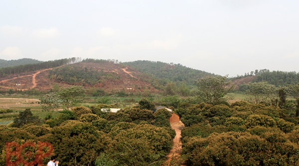 Bắc Giang: Đề xuất rà soát nguồn gốc đất tại dự án sân golf Lục Nam