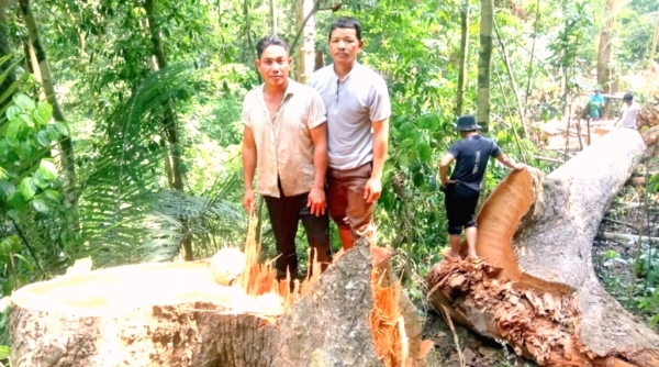 Quảng Nam: Xác định 2 đối tượng phá rừng phòng hộ Đắk Mi
