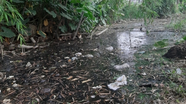 Hà Tĩnh: Trại lợn không phép trong khu dân cư, người dân “kêu trời” vì ô nhiễm