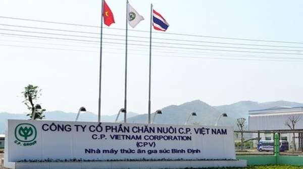 Tỷ phú Thái Lan rót 200 triệu USD biến Việt Nam thành trung tâm xuất khẩu gia cầm
