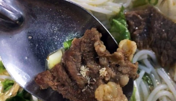 Nghệ An: Ăn trưa, công nhân tá hỏa phát hiện trong khẩu phần ăn có dòi