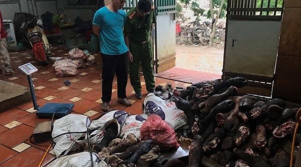 Hà Nội: Lực lượng chức năng thu giữ 3 tấn chân bò và nội tạng gia súc không rõ nguồn gốc