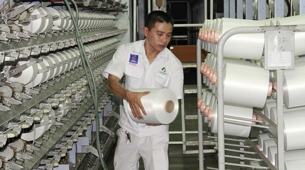 Nhà máy xơ sợi Đình Vũ tăng công suất sản xuất sợi DTY lên 900 tấn/tháng