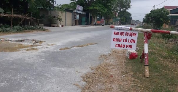 Nghệ An: Trong vòng 9 ngày, huyện Diễn Châu xuất hiện 7 ổ dịch tả lợn châu Phi