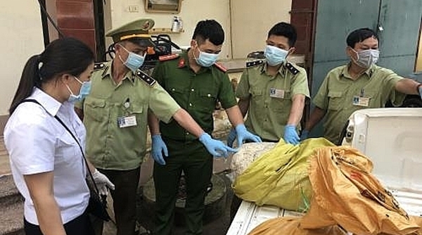 Lạng Sơn: Đột kích xưởng chế biến, phát hiện 800 kg lòng lợn thối